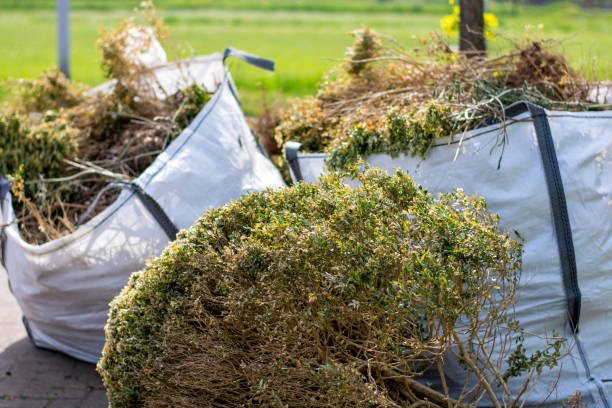 Basement Cleanout Services in Nicollet, MN
